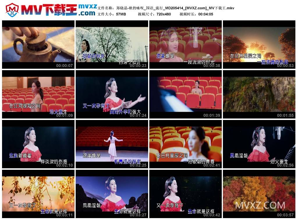 郑晓晶-秋的咏叹_国语_流行_MD205414